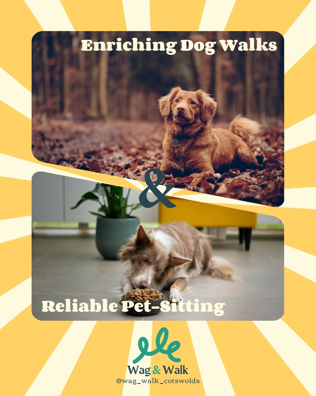 Social media graphic for dog walking service